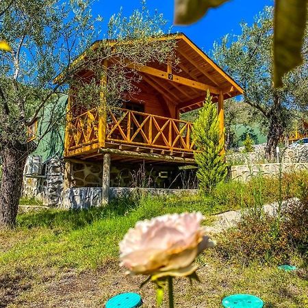 Kazdaglari Saglikli Yasam Koeyue Hotel Edremit  Kültér fotó
