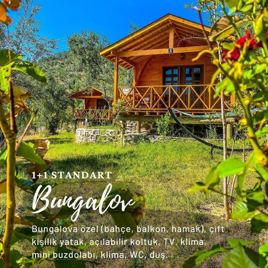 Kazdaglari Saglikli Yasam Koeyue Hotel Edremit  Kültér fotó